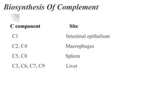 Complement C4 Test COMPLEMENT SYSTEM AND ITS CLINICAL IMPLICATIONS | PPTX