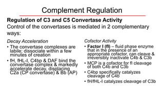 Complement System.pdf immunology lecture | PDF