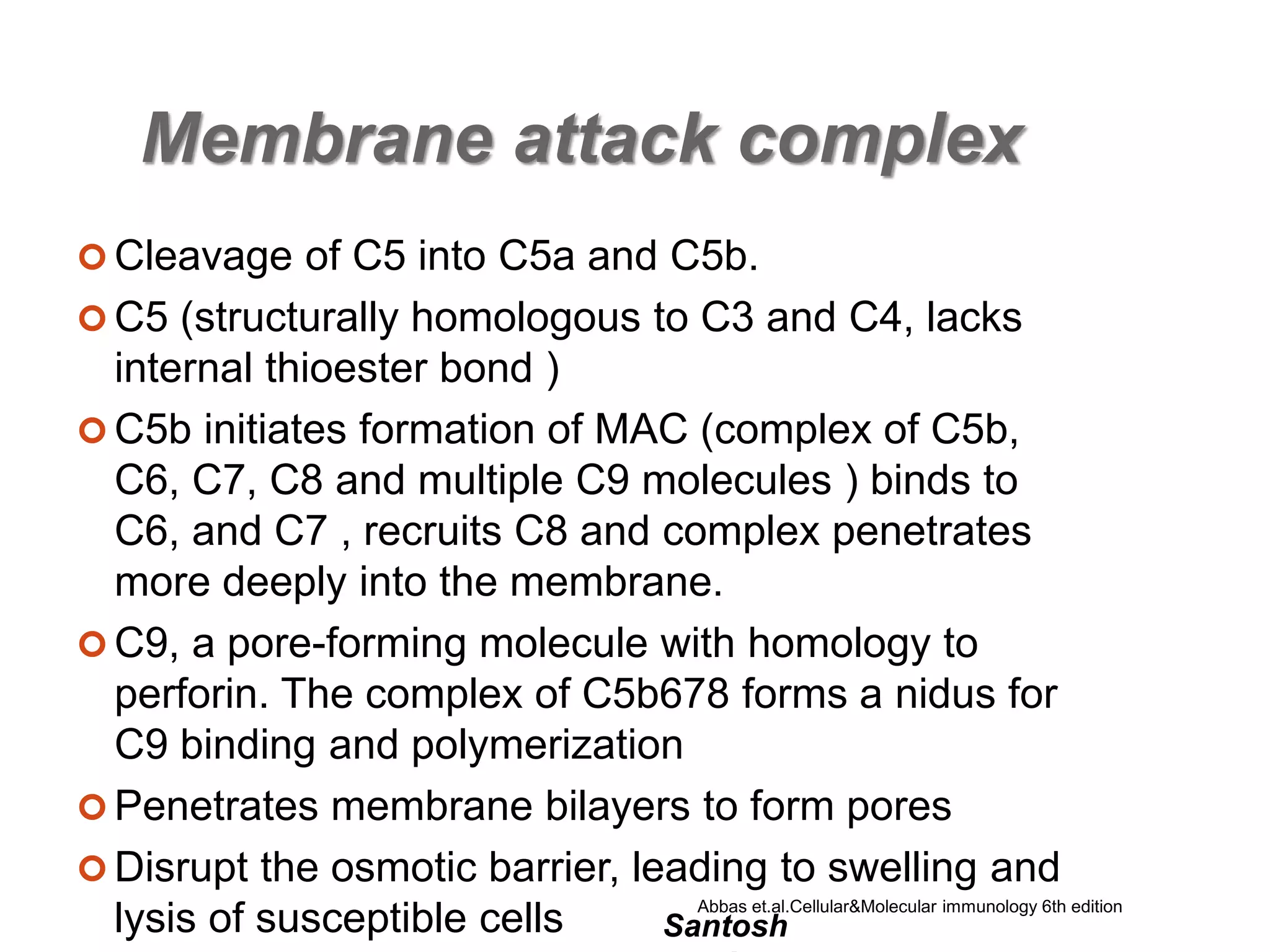 Santosh
Membrane attack complex
 Cleavage of C5 into C5a and C5b.
 C5 (structurally homologous to C3 and C4, lacks
internal thioester bond )
 C5b initiates formation of MAC (complex of C5b,
C6, C7, C8 and multiple C9 molecules ) binds to
C6, and C7 , recruits C8 and complex penetrates
more deeply into the membrane.
 C9, a pore-forming molecule with homology to
perforin. The complex of C5b678 forms a nidus for
C9 binding and polymerization
 Penetrates membrane bilayers to form pores
 Disrupt the osmotic barrier, leading to swelling and
lysis of susceptible cells Abbas et.al.Cellular&Molecular immunology 6th edition
 