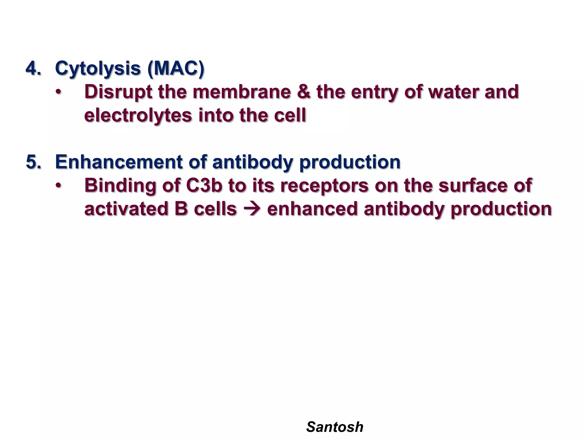 Santosh
4. Cytolysis (MAC)
• Disrupt the membrane & the entry of water and
electrolytes into the cell
5. Enhancement of antibody production
• Binding of C3b to its receptors on the surface of
activated B cells  enhanced antibody production
 
