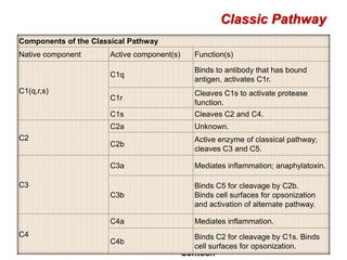 Santosh
Classic Pathway
Components of the Classical Pathway
Native component Active component(s) Function(s)
C1(q,r,s)
C1q
Binds to antibody that has bound
antigen, activates C1r.
C1r
Cleaves C1s to activate protease
function.
C1s Cleaves C2 and C4.
C2
C2a Unknown.
C2b
Active enzyme of classical pathway;
cleaves C3 and C5.
C3
C3a Mediates inflammation; anaphylatoxin.
C3b
Binds C5 for cleavage by C2b.
Binds cell surfaces for opsonization
and activation of alternate pathway.
C4
C4a Mediates inflammation.
C4b
Binds C2 for cleavage by C1s. Binds
cell surfaces for opsonization.
 