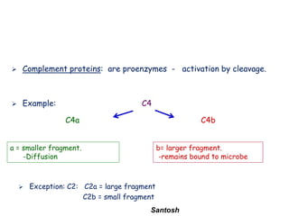 Santosh
 Complement proteins: are proenzymes - activation by cleavage.
 Example: C4
 Exception: C2: C2a = large fragment
C2b = small fragment
a = smaller fragment.
-Diffusion
b= larger fragment.
-remains bound to microbe
C4a C4b
 