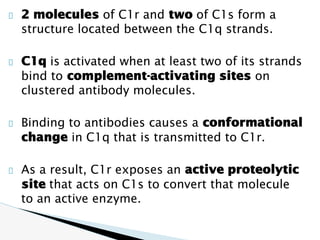 Comprehensive Overview of the Complement System in Immunity and ...