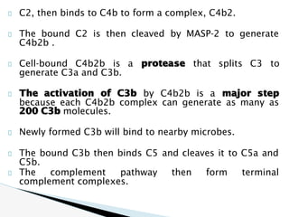 C2 Complement System Comprehensive Overview of the Complement System in Immunity and ...