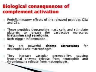Comprehensive Overview of the Complement System in Immunity and ...