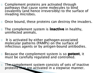 Comprehensive Overview of the Complement System in Immunity and ...
