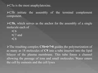 Complement system | PPTX