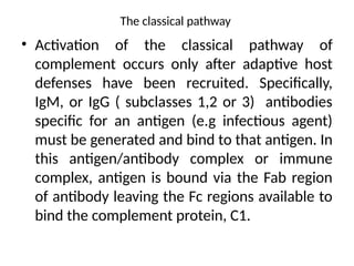 The classical pathway
• Activation of the classical pathway of
complement occurs only after adaptive host
defenses have been recruited. Specifically,
IgM, or IgG ( subclasses 1,2 or 3) antibodies
specific for an antigen (e.g infectious agent)
must be generated and bind to that antigen. In
this antigen/antibody complex or immune
complex, antigen is bound via the Fab region
of antibody leaving the Fc regions available to
bind the complement protein, C1.
 