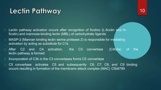Complement system and its regulation | PPTX