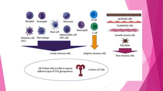 COMPLEMENT SYSTEM AND ITS ROLE IN PERIODONTAL INFLAMMATION.pptx