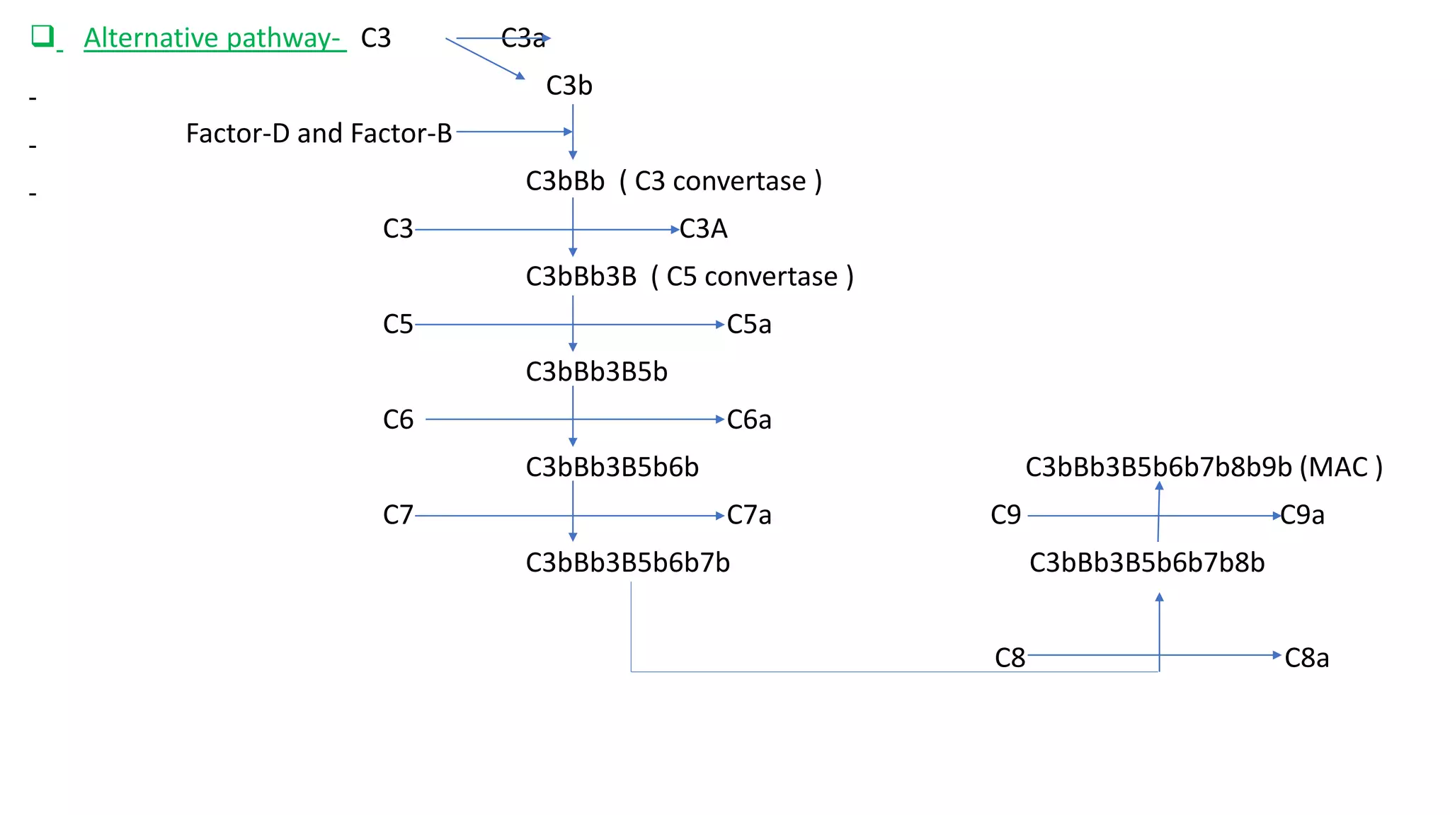  Alternative pathway- C3 C3a
C3b
Factor-D and Factor-B
C3bBb ( C3 convertase )
C3 C3A
C3bBb3B ( C5 convertase )
C5 C5a
C3bBb3B5b
C6 C6a
C3bBb3B5b6b C3bBb3B5b6b7b8b9b (MAC )
C7 C7a C9 C9a
C3bBb3B5b6b7b C3bBb3B5b6b7b8b
C8 C8a
 