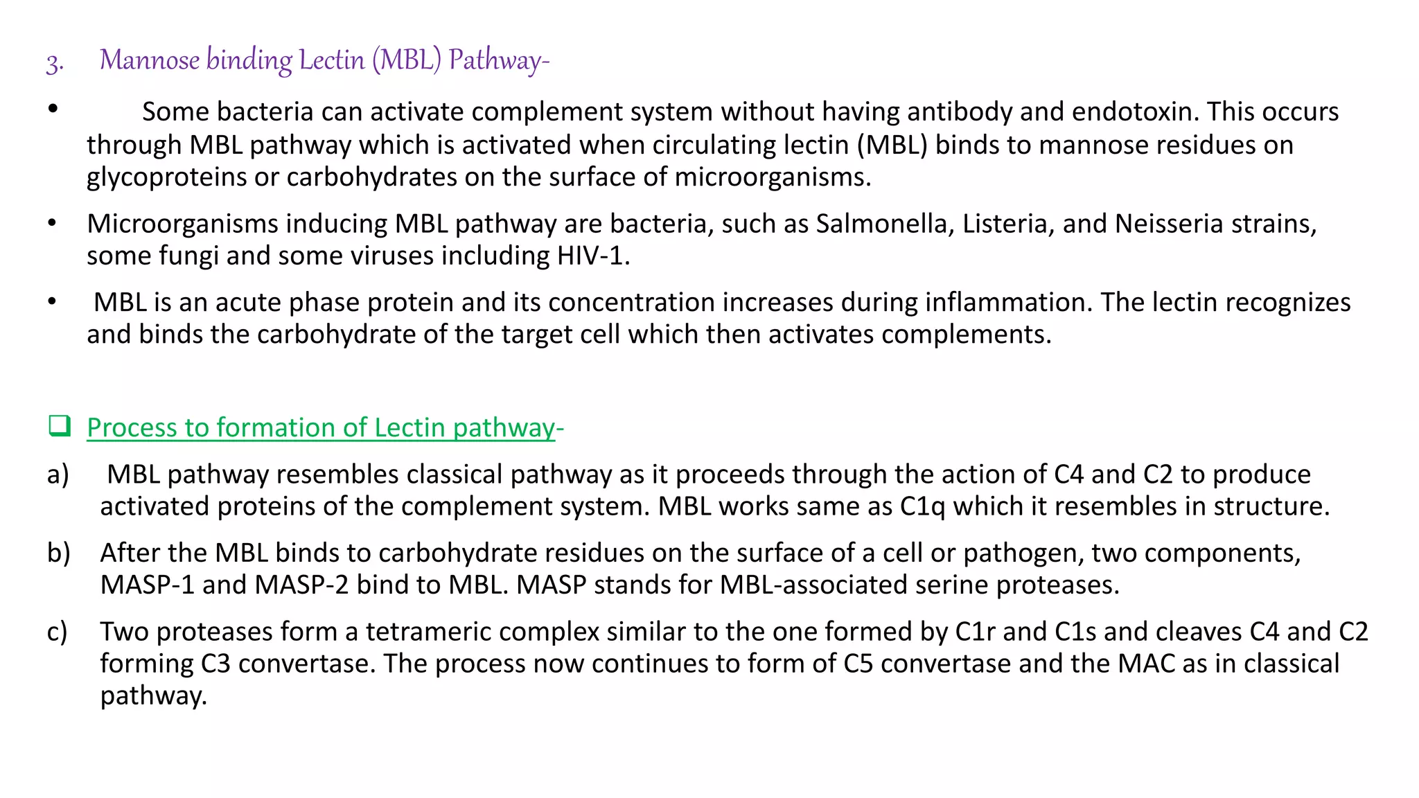 3. Mannose binding Lectin (MBL) Pathway-
• Some bacteria can activate complement system without having antibody and endotoxin. This occurs
through MBL pathway which is activated when circulating lectin (MBL) binds to mannose residues on
glycoproteins or carbohydrates on the surface of microorganisms.
• Microorganisms inducing MBL pathway are bacteria, such as Salmonella, Listeria, and Neisseria strains,
some fungi and some viruses including HIV-1.
• MBL is an acute phase protein and its concentration increases during inflammation. The lectin recognizes
and binds the carbohydrate of the target cell which then activates complements.
 Process to formation of Lectin pathway-
a) MBL pathway resembles classical pathway as it proceeds through the action of C4 and C2 to produce
activated proteins of the complement system. MBL works same as C1q which it resembles in structure.
b) After the MBL binds to carbohydrate residues on the surface of a cell or pathogen, two components,
MASP-1 and MASP-2 bind to MBL. MASP stands for MBL-associated serine proteases.
c) Two proteases form a tetrameric complex similar to the one formed by C1r and C1s and cleaves C4 and C2
forming C3 convertase. The process now continues to form of C5 convertase and the MAC as in classical
pathway.
 