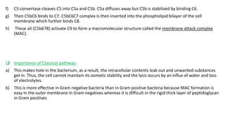 Complement system by snehasish | PPTX