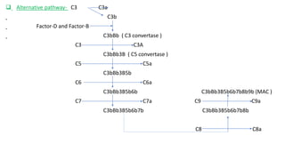 Complement system by snehasish | PPTX