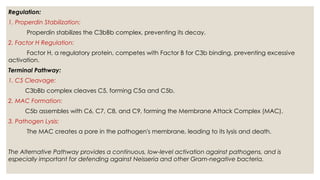 Regulation:
1. Properdin Stabilization:
Properdin stabilizes the C3bBb complex, preventing its decay.
2. Factor H Regulation:
Factor H, a regulatory protein, competes with Factor B for C3b binding, preventing excessive
activation.
Terminal Pathway:
1. C5 Cleavage:
C3bBb complex cleaves C5, forming C5a and C5b.
2. MAC Formation:
C5b assembles with C6, C7, C8, and C9, forming the Membrane Attack Complex (MAC).
3. Pathogen Lysis:
The MAC creates a pore in the pathogen's membrane, leading to its lysis and death.
The Alternative Pathway provides a continuous, low-level activation against pathogens, and is
especially important for defending against Neisseria and other Gram-negative bacteria.
 