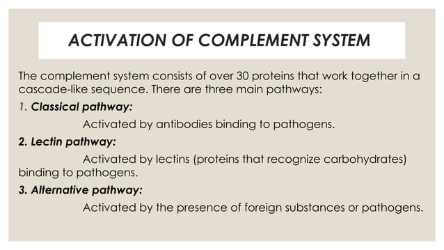 complement system Immune system and immunotechnology | PPT