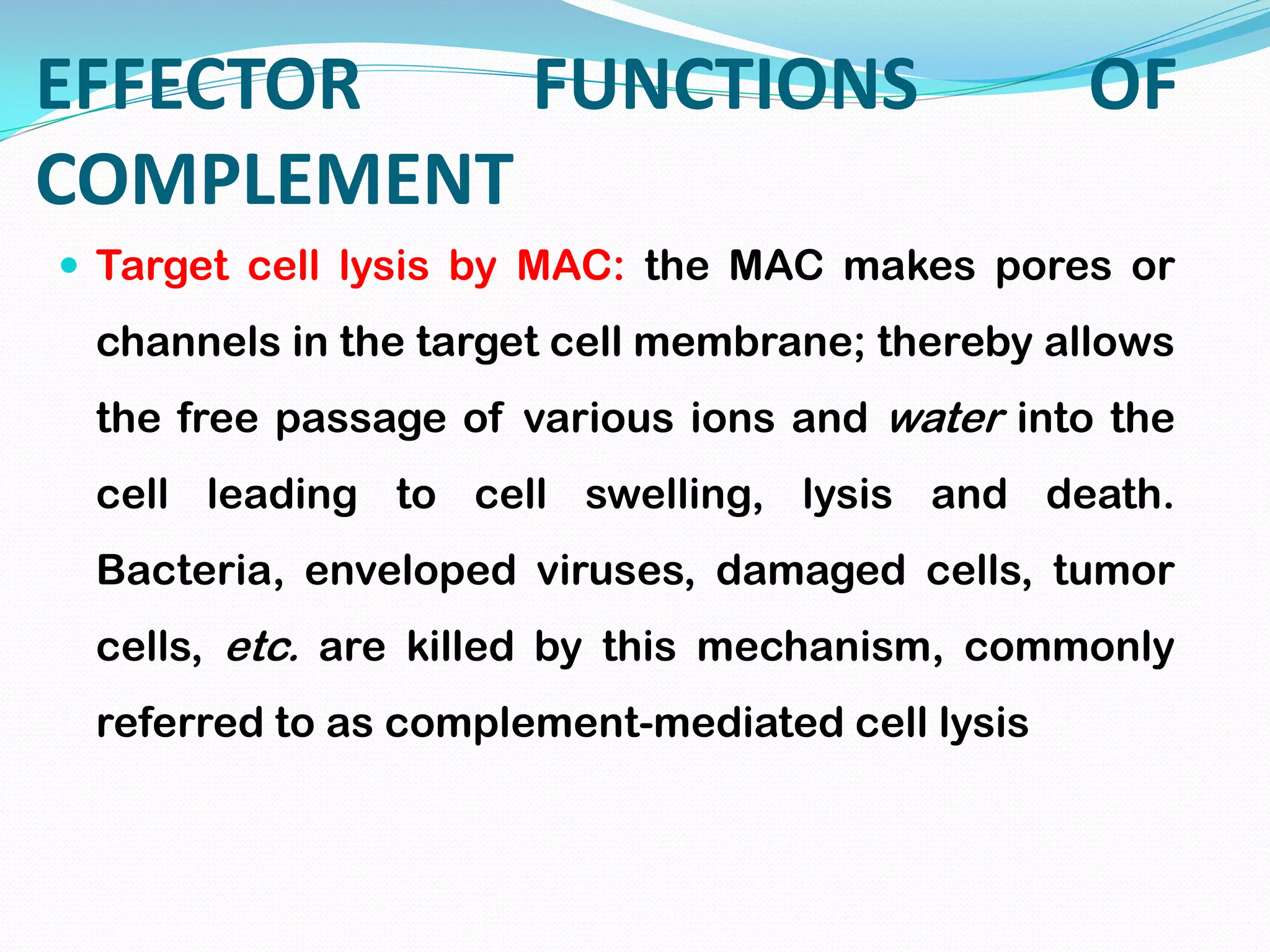 EFFECTOR FUNCTIONS OF
COMPLEMENT
 Target cell lysis by MAC: the MAC makes pores or
channels in the target cell membrane; thereby allows
the free passage of various ions and water into the
cell leading to cell swelling, lysis and death.
Bacteria, enveloped viruses, damaged cells, tumor
cells, etc. are killed by this mechanism, commonly
referred to as complement-mediated cell lysis
 