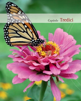 Capitolo Tredici
 