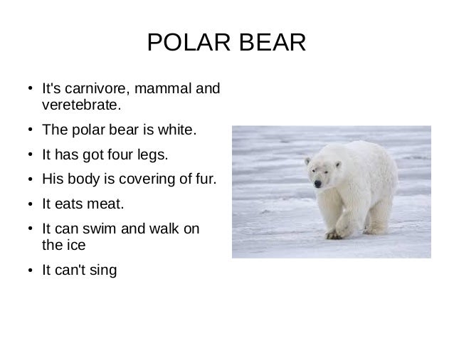 ANIMAL POWER POINT PRESENTATION 5TH GRADE A