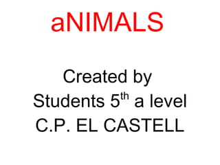 aNIMALS
Created by
Students 5th
a level
C.P. EL CASTELL
 
