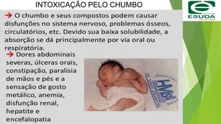 INTOXICAÇÃO PELO CHUMBO
 