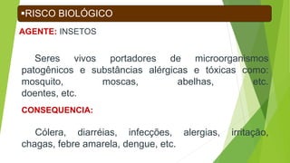 AGENTE: INSETOS
Seres vivos portadores de microorganismos
patogênicos e substâncias alérgicas e tóxicas como:
mosquito, moscas, abelhas, etc.
doentes, etc.
RISCO BIOLÓGICO
CONSEQUENCIA:
Cólera, diarréias, infecções, alergias, irritação,
chagas, febre amarela, dengue, etc.
 