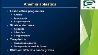 CHUMBO NO SANGUE DEPOIS DE ANOS O FETO
FOI AFETADO
 