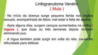 Linfogranuloma Venério
( Mula )
 No início da doença surge pequena ferida nos órgãos
sexuais, acompanhada de febre, mal estar e falta de apetite.
 Após alguns dias, surgem caroços aumentados na virilha (
ínguas ), que duas ou três semanas depois rompem
eliminando pus.
 A íngua também pode surgir em volta do reto, causando
dificuldade para defecar.
 