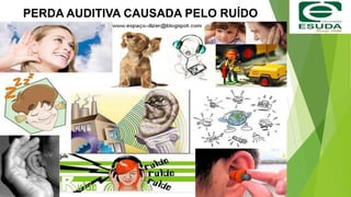 PERDA AUDITIVA CAUSADA PELO RUÍDO
 