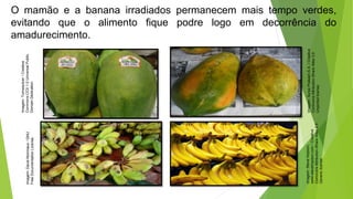 O mamão e a banana irradiados permanecem mais tempo verdes,
evitando que o alimento fique podre logo em decorrência do
amadurecimento.
Imagem:
Tomwsulcer
/
Creative
Commons
CC0
1.0
Universal
Public
Domain
Dedication.
Imagem:
Surya
Prakash.S.A.
/
Creative
Commons
Attribution-Share
Alike
3.0
Unported
license.
Imagem:
David
Monniaux
/
GNU
Free
Documentation
License.
Imagem:
Steve
Hopson,
www.stevehopson.com
/
Creative
Commons
Attribution-Share
Alike
2.5
Generic
license.
 