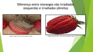 Diferença entre morangos não irradiados
(esquerda) e irradiados (direita)
Imagem: Rasbak / GNU Free Documentation License. Imagem: David Monniaux / GNU Free Documentation License.
 