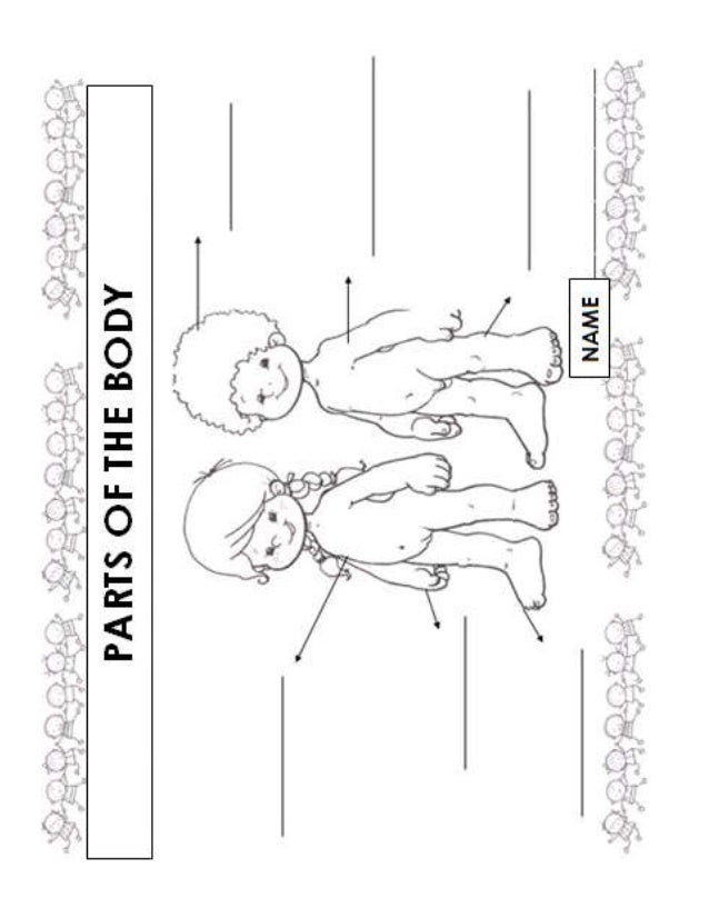 write the names parts of the body write the names parts of the body