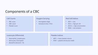 Comprehensive Guide to Complete Blood Count (CBC) Interpretation and ...