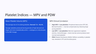 Comprehensive Guide to Complete Blood Count (CBC) Interpretation and ...