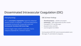 Comprehensive Guide to Complete Blood Count (CBC) Interpretation and ...