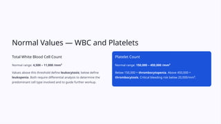 Comprehensive Guide to Complete Blood Count (CBC) Interpretation and ...