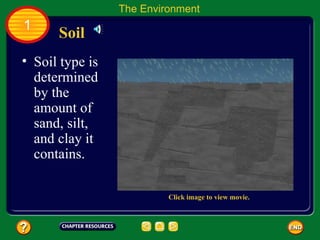 Soil type is determined by the amount of sand, silt, and clay it contains.  Soil The Environment 1 Click image to view movie. 