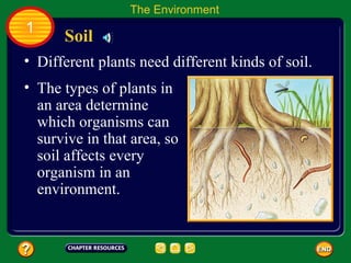 Different plants need different kinds of soil.  Soil The Environment 1 The types of plants in an area determine which organisms can survive in that area, so soil affects every organism in an environment.  