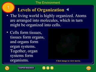 The living world is highly organized. Atoms are arranged into molecules, which in turn might be organized into cells.  Levels of Organization The Environment 1 Cells form tissues, tissues form organs, and organs form organ systems.  Together, organ systems form organisms.  Click image to view movie. 