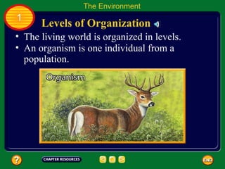The living world is organized in levels.  Levels of Organization The Environment 1 An organism is one individual from a population.  