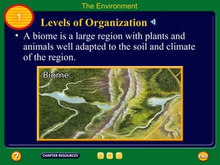 A biome is a large region with plants and animals well adapted to the soil and climate of the region. Levels of Organization The Environment 1 