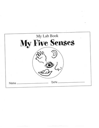 Complete Kdg Senses Book