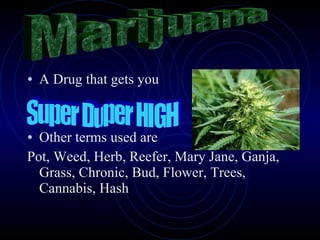 A Drug that gets you Other terms used are  Pot, Weed, Herb, Reefer, Mary Jane, Ganja, Grass, Chronic, Bud, Flower, Trees, Cannabis, Hash Marijuana Super Duper HIGH 
