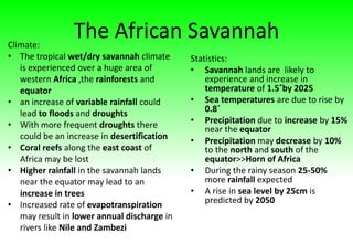 The African Savannah
Statistics:
• Savannah lands are likely to
experience and increase in
temperature of 1.5˚by 2025
• Sea temperatures are due to rise by
0.8˚
• Precipitation due to increase by 15%
near the equator
• Precipitation may decrease by 10%
to the north and south of the
equator>>Horn of Africa
• During the rainy season 25-50%
more rainfall expected
• A rise in sea level by 25cm is
predicted by 2050
Climate:
• The tropical wet/dry savannah climate
is experienced over a huge area of
western Africa ,the rainforests and
equator
• an increase of variable rainfall could
lead to floods and droughts
• With more frequent droughts there
could be an increase in desertification
• Coral reefs along the east coast of
Africa may be lost
• Higher rainfall in the savannah lands
near the equator may lead to an
increase in trees
• Increased rate of evapotranspiration
may result in lower annual discharge in
rivers like Nile and Zambezi
 