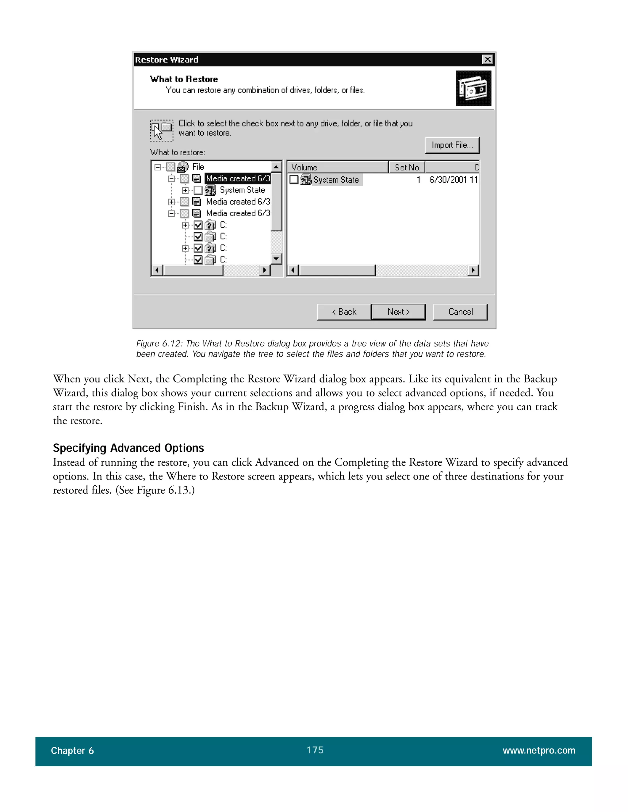 Chapter 6 www.netpro.com175
When you click Next, the Completing the Restore Wizard dialog box appears. Like its equivalent in the Backup
Wizard, this dialog box shows your current selections and allows you to select advanced options, if needed. You
start the restore by clicking Finish. As in the Backup Wizard, a progress dialog box appears, where you can track
the restore.
Specifying Advanced Options
Instead of running the restore, you can click Advanced on the Completing the Restore Wizard to specify advanced
options. In this case, the Where to Restore screen appears, which lets you select one of three destinations for your
restored files. (See Figure 6.13.)
Figure 6.12: The What to Restore dialog box provides a tree view of the data sets that have
been created. You navigate the tree to select the files and folders that you want to restore.
 