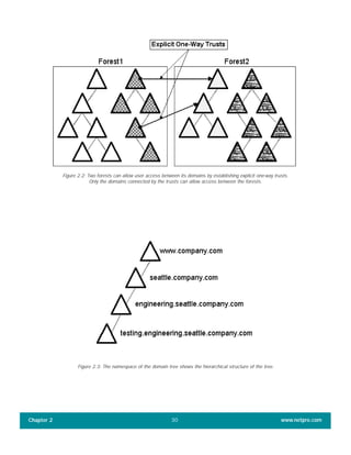 Chapter 2 www.netpro.com30
Figure 2.2: Two forests can allow user access between its domains by establishing explicit one-way trusts.
Only the domains connected by the trusts can allow access between the forests.
Figure 2.3: The namespace of the domain tree shows the hierarchical structure of the tree.
 
