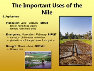 2. Agriculture
• Inundation: June - October - SHAIT
– time of rising flood waters
– farmers had time to build
• Emergence: November - February- PIRUIT
– the return of the water to the river
– planted crops & trapped water for irrigation
• Drought: March - June - SHEMU
– Harvest time
The Important Uses of the
Nile
 