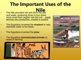 • The Nile provided rich soil (from the silt)
and water, producing three to four times
more crops than regular rain-fed soil. - made
farming very productive, created a surplus
• The Egyptians invented the shadouf to help
distribute water to the fields.
• The Egyptians invented the plow.
• The Egyptians domesticated animals to
assist in farming.
The Important Uses of the
Nile
 
