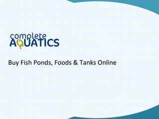 Buy Fish Ponds, Foods & Tanks Online 