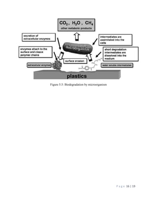 P a g e 16 | 19
Figure 5.5: Biodegradation by microorganism
 